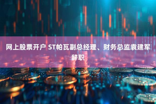网上股票开户 ST帕瓦副总经理、财务总监袁建军辞职